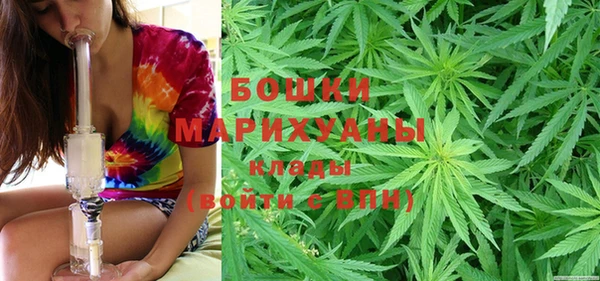 шишки Арсеньев